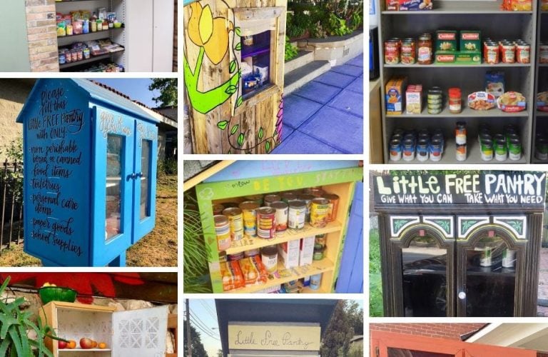 Le dispense di cibo di quartiere del movimento Little Food Pantry||Il progetto disegnato per costruire una Little Free Pantry