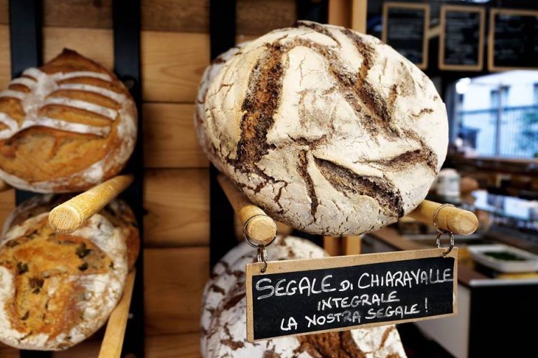 Pane di segale di Chiaravalle|Campo di cereali a Chiaravalle|la locandina di Madre project