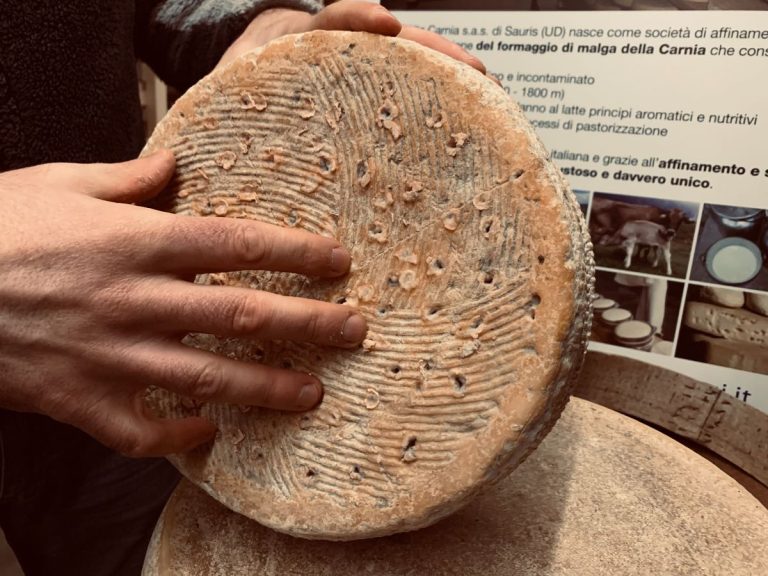 |Malga Alta Carnia Sauris - Sebastiano Crivellaro e le sue forme di formaggio|Malga Alta Carnia Sauris - Blu Binter - Erborinato Naturale|Malga Alta Carnia Sauris - Forme di formaggio a diversi stadi di maturazione