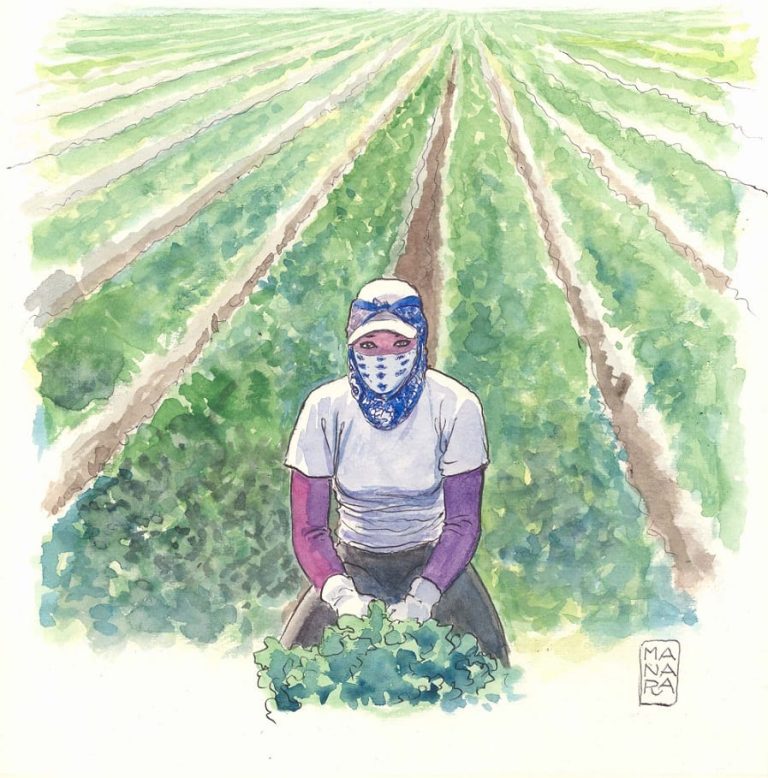 la contadina di Milo Manara|La panettiera di Milo Manara||La fruttivendola di Milo Manara