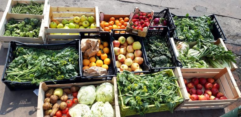 Cassette di frutta e verdura recuperate