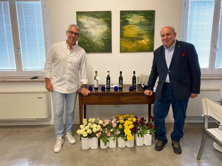 Scopri l'evento olio e rose in Umbria|Ulivi|ulivo