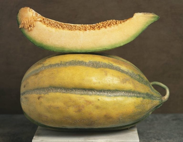 Un melone giallo fotografato intero su un piedistallo in marmo