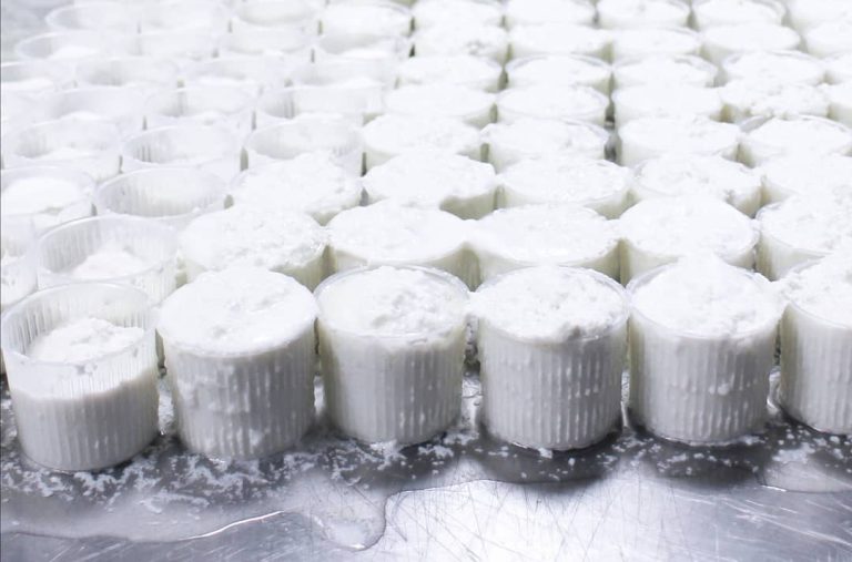 Ricotta fresca della Masseria Fontana Ramata|Formaggio di capra su tagliere|Amaury Jimenez