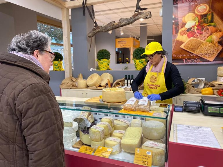 Il banco dei formaggi al mercato di Perugia|Il banco degli ortaggi con cavolo nero e broccoli al mercato contadino di Perugia|Allevamento di mucche da latte in Umbria|Il banco norcineria al mercato di Perugia