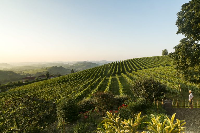 Scopri il cibo e vino del Piemonte