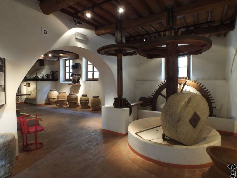 Musei dell'olio|Museo dell'olio