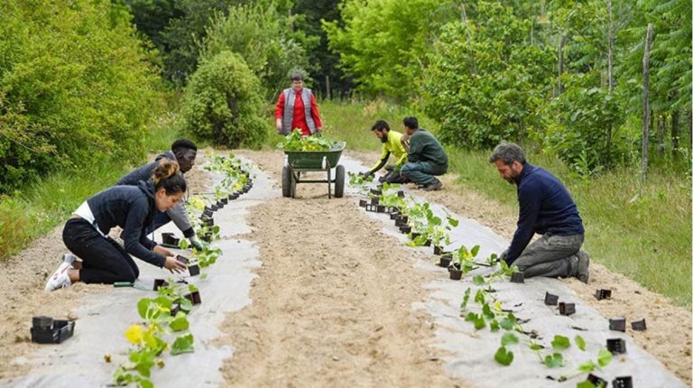 Semina di un orto nella città di Nantes|Il giardino botanico di Nantes