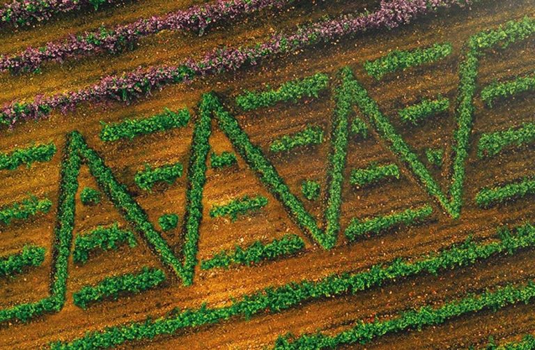 Omnivore 2022|