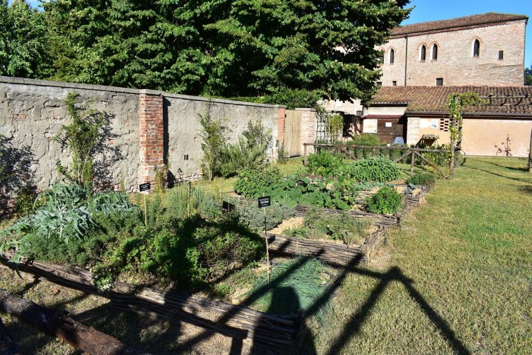 Ortaggi e officinali nell'orto di Carlo Magno|L'orto di Carlo Magno|Pergolato di vite nell'orto di Carlo Magno|Pastinaca nell'orto|Il Capitulare de Villis