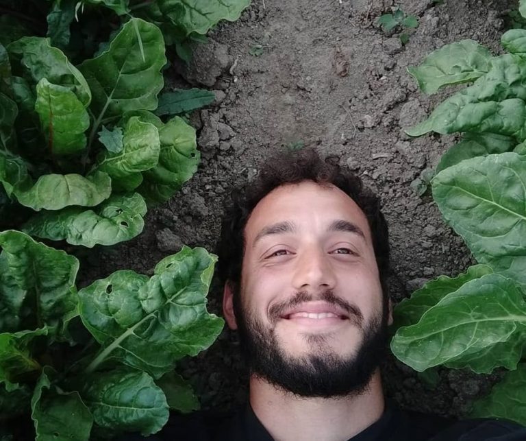 Lorenzo Maggi steso in campo|boccioli di fgirasole|Campo di papaveri|cassetta di verdure e uova|Bieta a coste colorate|Microgreen dell'Orto di Clapi