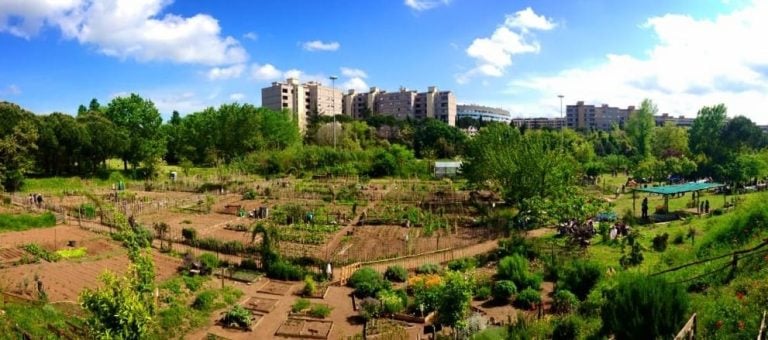L'orto urbano Tre Fontane a Roma|Coltivare un orto urbano