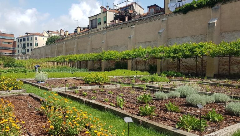 Orto e aiuole del Giardino Mistico degli Scalzi