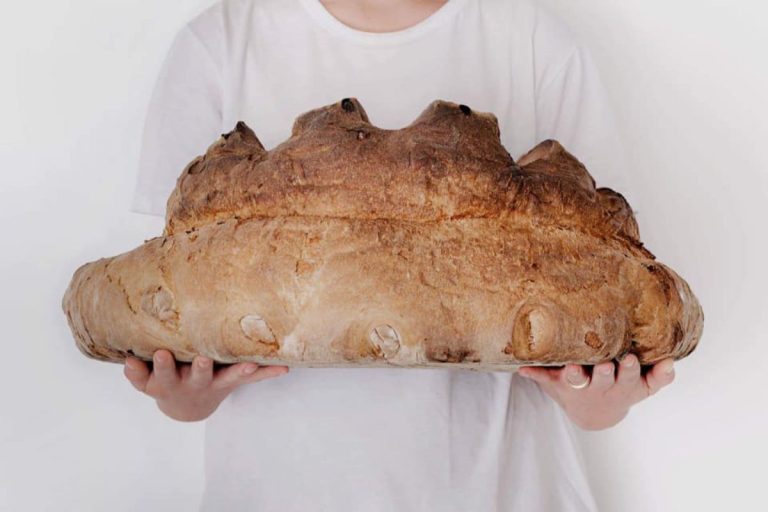 pane e pace Matera - Ricetta panini con le olive|pane e pace Matera - Ricetta panini con le olive|pane e pace Matera - Ricetta panini con le olive
