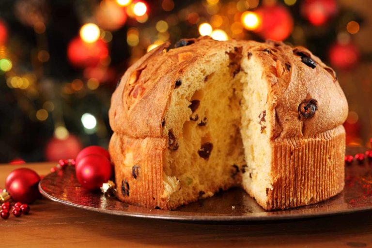 Scopri le idee regalo per un Natale solidale|Scopri le idee regalo per un Natale sostenibile|Scopri le idee regalo per un Natale sostenibile|Scopri le idee regalo per un Natale sostenibile|Scopri le idee regalo per un Natale sostenibile|Scopri le idee regalo per un Natale sostenibile|Scopri le idee regalo per un Natale sostenibile|Scopri le idee regalo per un Natale sostenibile|Scopri le idee regalo per un Natale sostenibile|