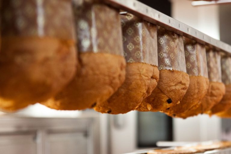 Panettoni Dolcemascolo|pa'ncucciato panettone ciocc||francesco guida panettone-scatola|xbe tre dolci panettone perbellini|panettone re moro CIccio Sultano|La limited edition di Niko Romito||||Panettone_Artigianale_Renato_Bosco_3|Bufala di Rosanna Marziale|panettone mammarossa|panettone al bitter di Flavio ANgiolillo|Il panettone di Cannavacciuolo