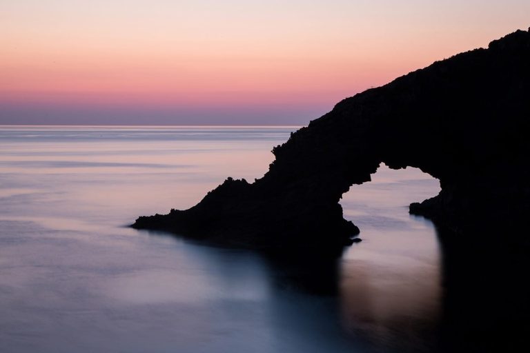 Pantelleria Doc Festival|Pantelleria Doc Festival|Pantelleria Doc Festival|Pantelleria Doc Festival|Pantelleria Doc Festival|Pantelleria Doc Festival|Pantelleria Doc Festival|Pantelleria Doc Festival|Pantelleria Doc Festival|Fiori_e_capperi_di_Pantelleria|Pantelleria Doc Festival