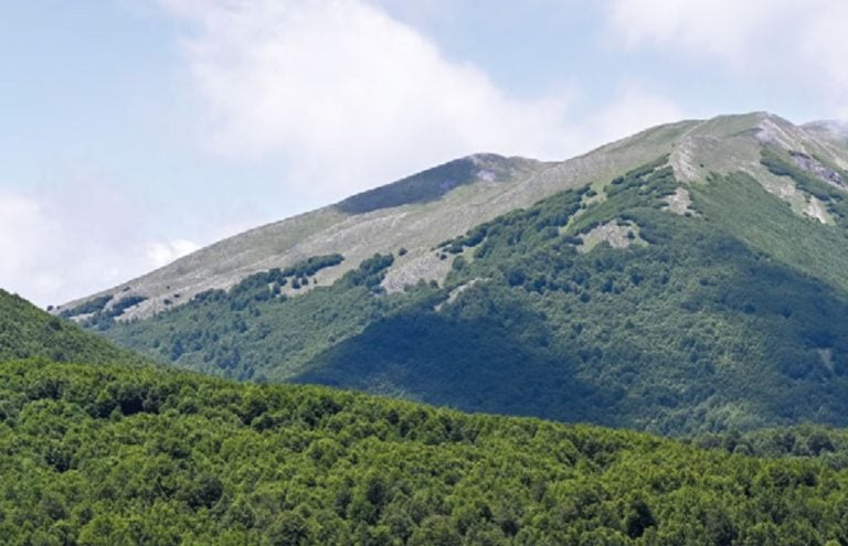 parco nazionale del pollino|pecorino romano copia|Melanzana rossa di Rotonda|Peperoni cruschi di Senise|formaggio agriturismo stellato|Battifarano|Chiesa di S.Maria di Costantinopoli a Papasidero. Foto: Parco Nazionale del Pollino