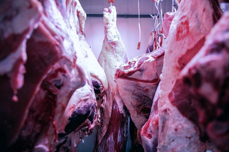 Pezzi di carne appesa. Foto di Paolo Della Corte|Fromagerie St Nicolas a Colmar|zen4|simone fracassi||battuta la granda