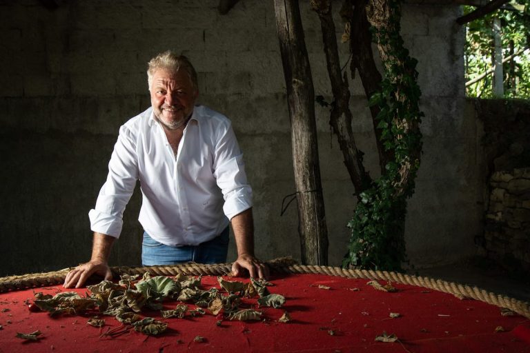Peppe Guida|Peppe_cucina_napoletana_sartu|||Peppe Guida nel verde|Peppe Guida_in_cucina_napoletana||Cucina _di_Peppe Guida|sartù_Peppe Guida|||||