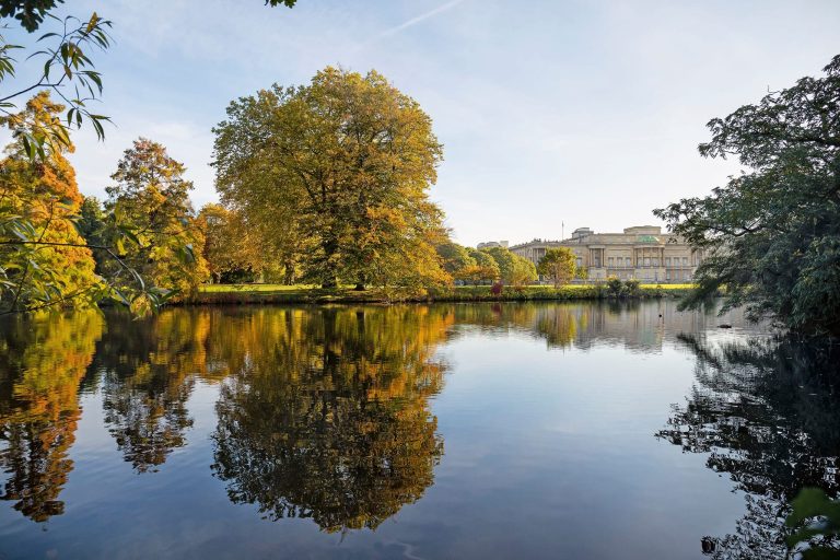 Il lago di Buckingham Palace|Il roseto di Buckingham Palace|I giardini di Buckingham Palace