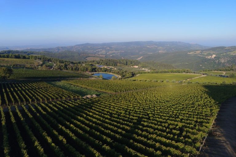 Val d'Orcia|Francesco_Caso_-_Vitaleta||Fattoria del Colle- winery|Podere Forte|Podere Forte|Podere forte