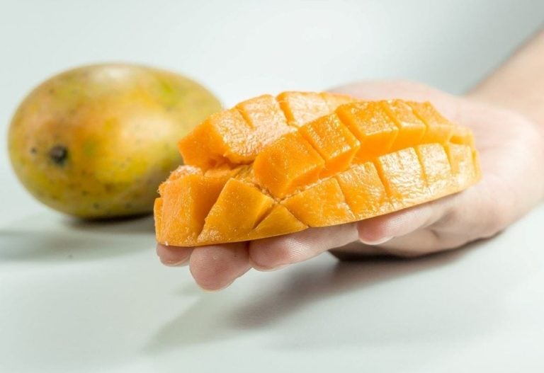 Polpa mango|Mango||Polpa del mango|Torta ala mango|Mango smoothie|Mango|Agnello con mango|Mousse mango|Agnello