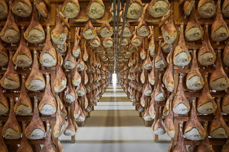 La sala di stagionatura del prosciutto San Daniele|La salatura del prosciutto San Daniele|Prosciutti San Daniele appesi a stagionare