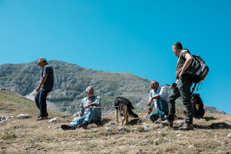Pastori in Abruzzo|Quote - amerigo va a fare il formaggio - Alberto Blasetti Ph|Quote - le pecore di Amerigo - Alberto Blasetti Ph|Quote - Lago della Duchessa - Alberto Blasetti Ph|Quote - Amerigo fa il sorgetto|Quote - Amerigo fa la ricotta|Quote - la ricotta stagionata di Amerigo - Alberto Blasetti Ph|Quote - la dimora di Amerigo - Alberto Blasetti Ph|Quote - Amerigo e Franco Franciosi - Alberto Blasetti Ph|Quote - Amerigo taglia l'agnello - Alberto Blasetti Ph|Quote - Amerigo fa la ricotta|Quote - la ricotta fresca di Amerigo - Alberto Blasetti Ph