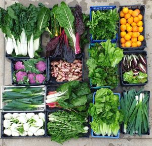 Cassette di frutta e verdura pronte per la consegna|Le cipolle rosse di Pedaso|al lavoro da Rasoterra|Asparagi e finocchi di Rasoterra|I campi di rasoTerra