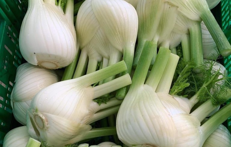 Finocchi|Una cassetta di puntarelle|piselli in campo e raccolti in baccello||Sedani appena raccolti