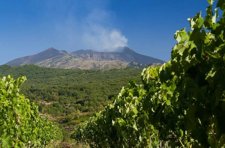 Ricci Weekender a Catania 2019: l'Etna visto dalle vigne di Pietradolce|le ali di pollo fritte di Belles Hot Chicken|L'orto botanico di Radicepura visto dall'alto