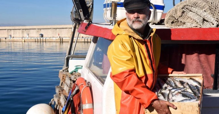 Peschereccio in porto|Pesce Spada|Casse di pesce in ghiaccio