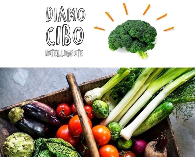 Logo di Robin Food|Volontari del progetto Robin Food|Lo schema di Robin Food|Box di frutta e verdura Robin Food|I pacchi di Robin Food