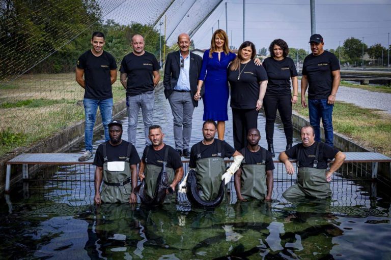 Royal Food Caviar - Il team||Acipenser srl-Royal Food Caviar - Dettaglio dell'acqua dell'allevamento|Acipenser srl-Royal Food Caviar - Le vasche|Acipenser srl-Royal Food Caviar - Un piccolo storione|Royal Food Caviar - Confezione di caviale|