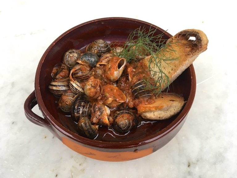 Lumache al sugo di Sant'Elia|DonPasta cucina con le signore di Sant'Elia|Una grafica della guida su Sant'Elia|Il mercato del pesce di Sant'Elia|La copertina della guida di Sant'Elia|Una grafica del libro dedicato a Sant'Elia|La piazza di Sant'Elia illuminata dal sole|DonPasta con una signora di Sant'Elia
