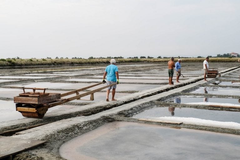 Scopri l'evento Sapore di sale di Cervia|Scopri l'evento Sapore di sale di Cervia|Scopri l'evento Sapore di sale di Cervia