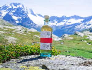 Il gin di Selvatiq|Raccolta di rami di abete|Il gin di Selvatiq|La soda mediterranea di Selvatiq