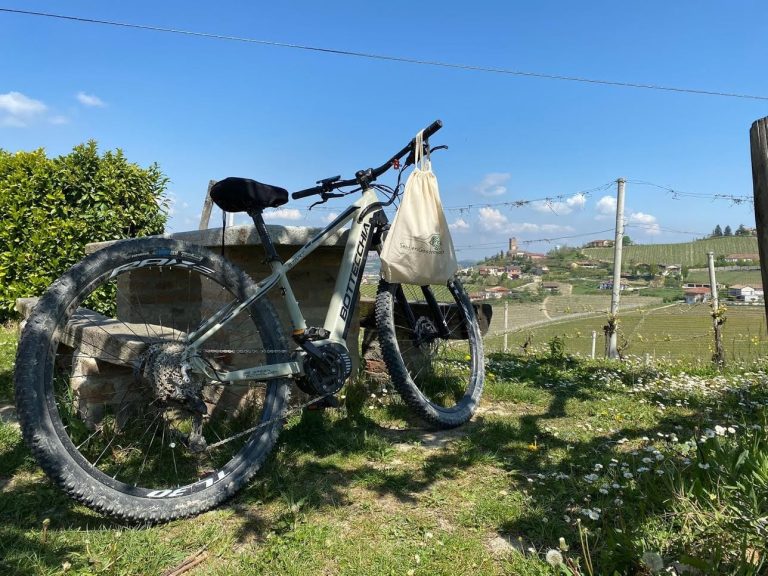 Bici in vigna|Sul sentiero tra le vigne di Barbaresco|Vino e nocciole del Piemonte|Calice di vino sotto la Torre di Barbaresco|In cammino in Val Germanasca|Vista di Neive dalle vigne|Salumi in affinamento