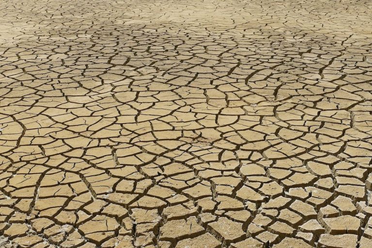 siccità climate change - siccita - Foto Eveline de Bruina da Pixabay|siccita - irrigazione - Foto di Anrita1705 da Pixabay