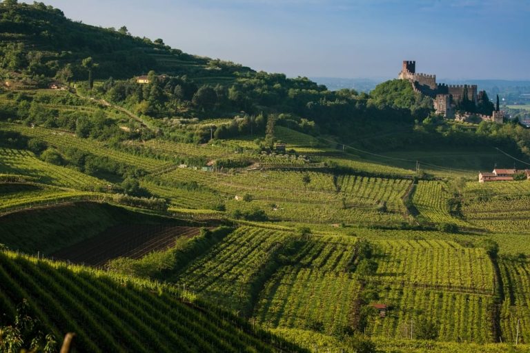 Soave - Le colline vitate - Unità geografica aggiuntiva|Bessou for Time Out Market - Foto Tatsuro Nishimura|scopri Pat LaFrieda e glialtri ristoranti al Time Out Market - CREDIT NOAH FECKS||Un ramen di Mr. Taka for Time Out Market - Foto Noah Fecks||Paesaggio del Conegliano Valdobbiadene Prosecco _photo credits Arcangelo Piai_3