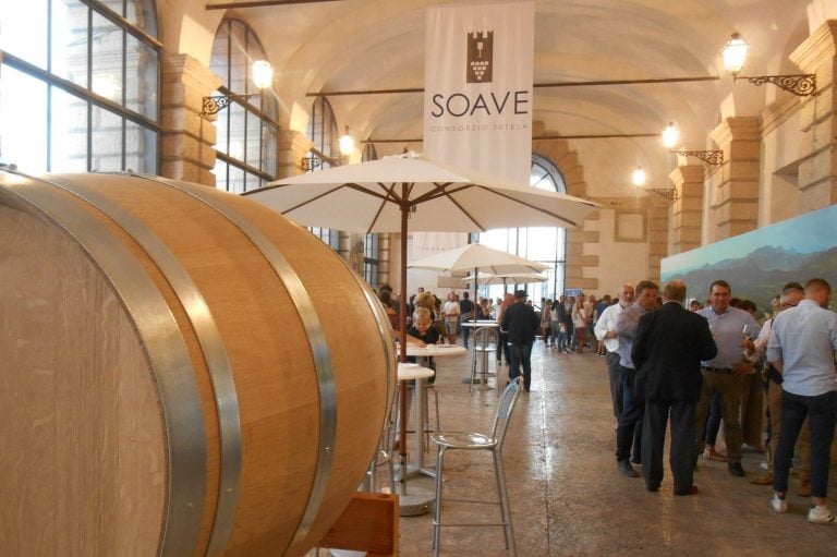 Soave Versus 2019|Immagini da Soave Versus_2019|Immagini da Soave Versus_2019
