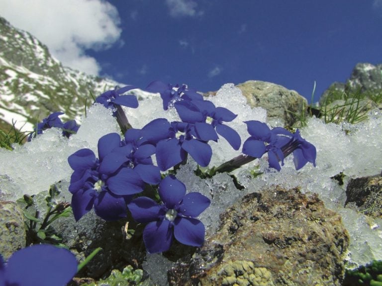 Scopri prodotti e vini tipici del Parco Naturale dello Stelvio||||Scopri prodotti e vini tipici del Parco Naturale dello Stelvio||Frantoio_Pug_ _Ph_Michahelles3|Scarpata murgiana_ph Mario Brambilla|Senarico (ph Mirella Campochiaro)|PANE ALTAMURA|Miniere di bauxite_ph Giuseppe Carlucci|Murgia uva|Murgia_torrevento_|castello-del-garagnone-ph-mario-brambilla|Burrata di Andria IGP_ph credits Coldiretti Puglia