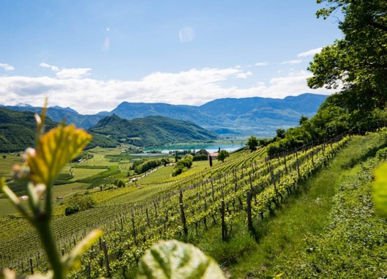 La strada de vino dell'alto adige