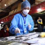 Controllo di pesce surgelato in Cina|Controllo di cibo surgelato in Cina