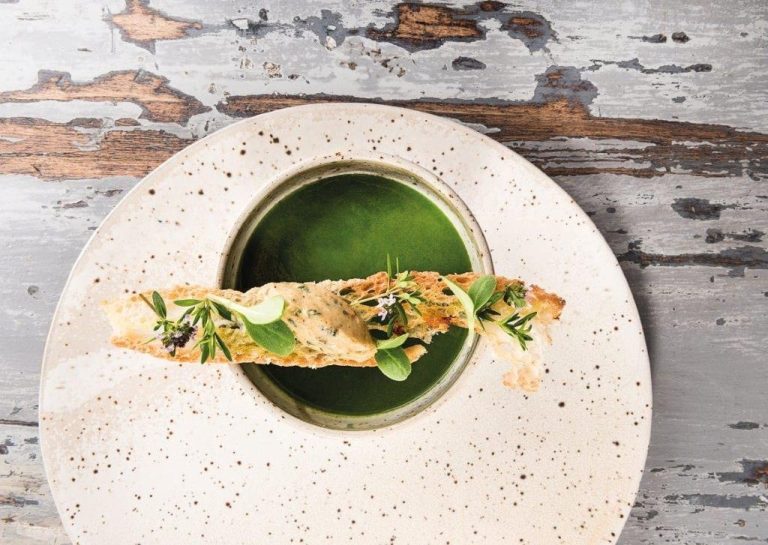 Un piatto con la crema di ortica e il crostino di pane di Mariangela Susigan alla Gardenia di Caluso||