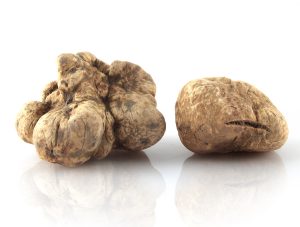 ||Tartufo Appennino food-AESTIVUM|TECA-VAPORE-GRAIN Tartufo Appennino food-|TECA-VAPORE-GRAIN Tartufo Appennino food-