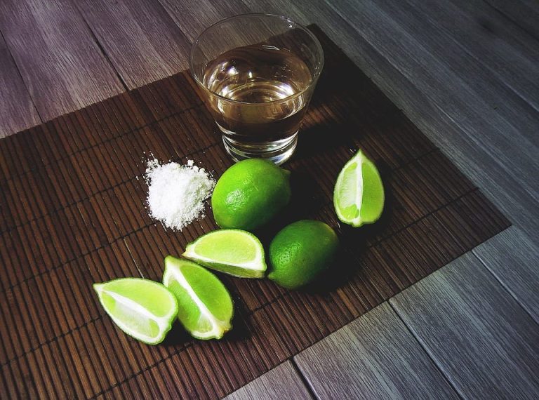 Bicchieri di tequila con sale e limone|Pipistrello|Pianta di agave blu|Agave blu|