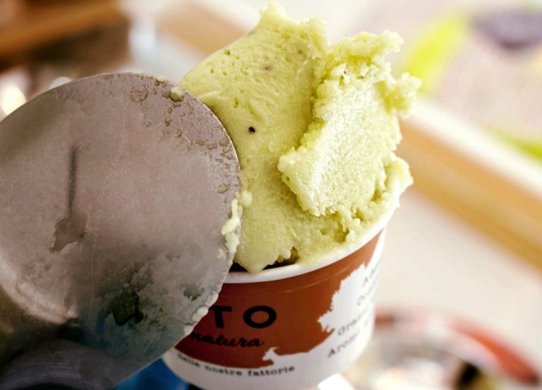 Gelato di Terra Gelato Milano|Il gelato col latte di capra all'isola d'Elba|Capre alla fattoria Terra e Cuore|La gelateria di Terra e Cuore a Verona