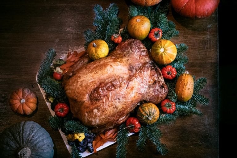 Thanksgiving day|Thanksgiving day|Thanksgiving day|Thanksgiving day|Thanksgiving day|Thanksgiving day|Thanksgiving day|Thanksgiving day|Thanksgiving day|Thanksgiving day|Thanksgiving day